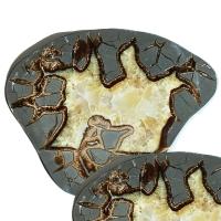 Septaria Placa (18-20cm)