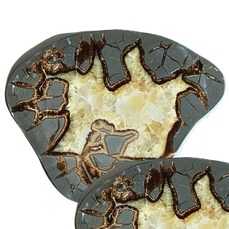 Septaria Placa (18-20cm)