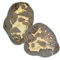 Septaria Placa (20-22cm)