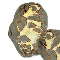 Septaria Placa (20-22cm)