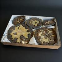 Septaria pulida. Lote 5 Un.