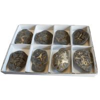 Septaria pulida. Lote 8 Un.