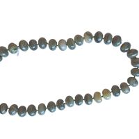 Tira de Serpentina