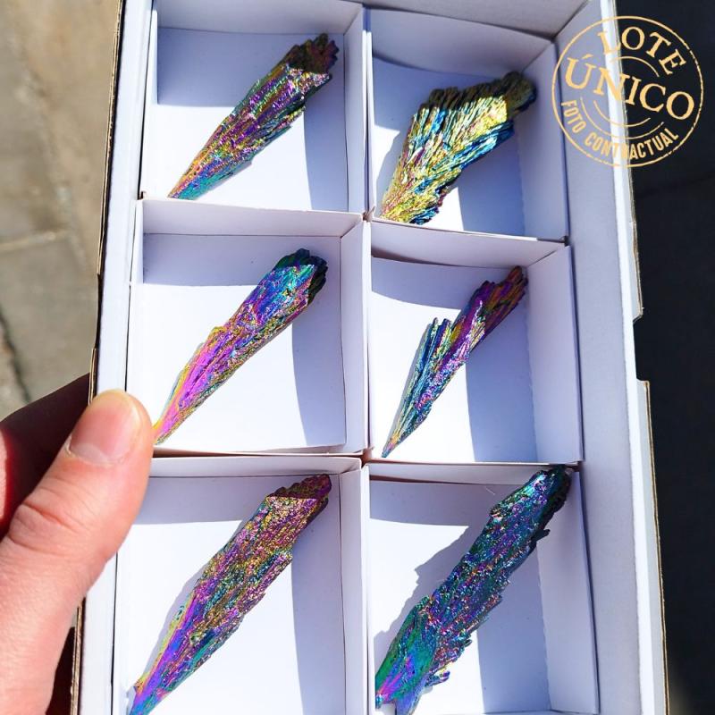 Taramita Radial Irisada. Lote 6 Un.