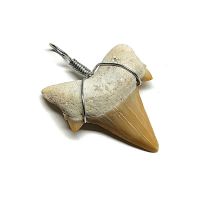 Colgante Dientes de Tiburón (3 cm aprox.)