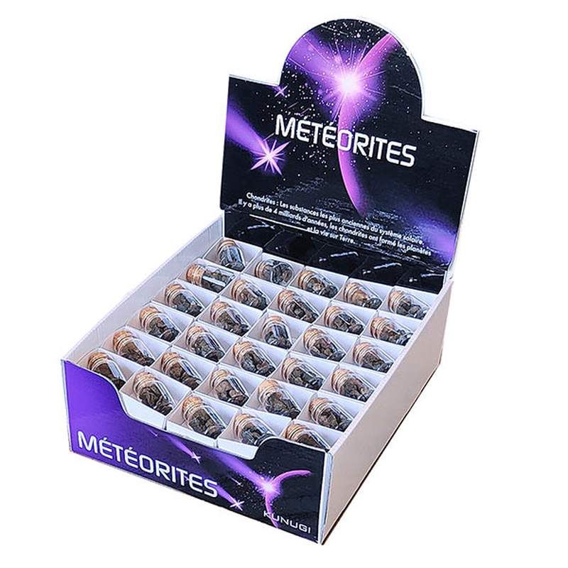 Chip Chondrites Display Case