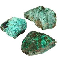 Turquoise Africaine (4-10cm). Prix par Kg