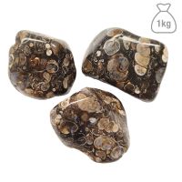 Ágata Turritella Rodado Grande. Bolsa 1kg