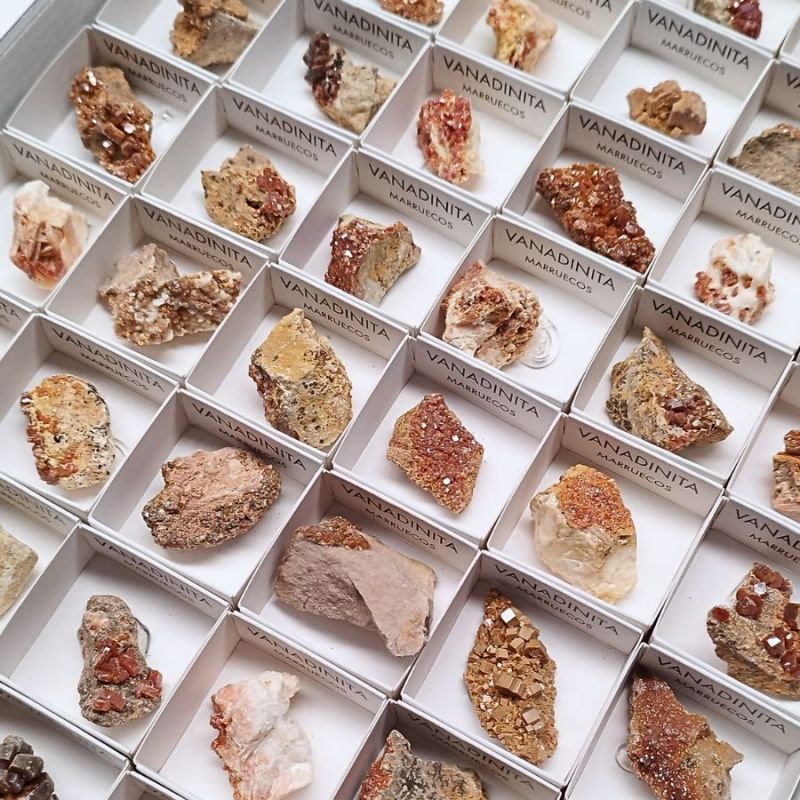 Vanadinite (Maroc). Set 54 Un.