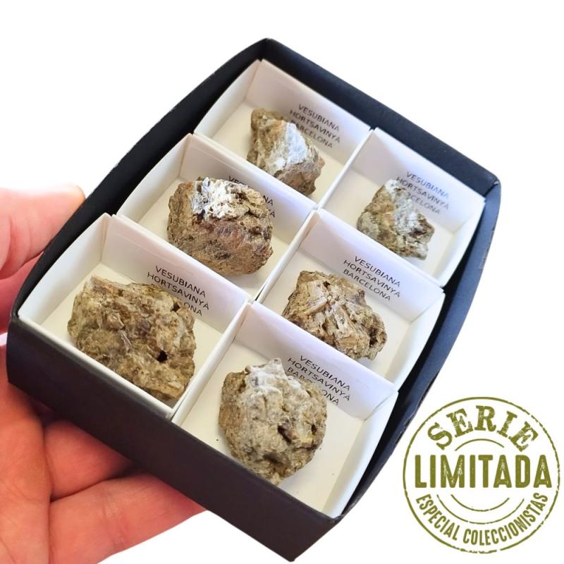Vesubiana (Hortsavinyà, Barcelona). Set 6u.