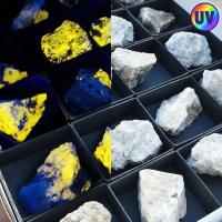 Wernerita (Canadá). Lote 24 Un.  Wernerita (Canadá). Lote 24 Un.