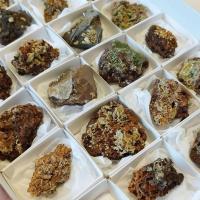 Wulfenita (México). Lote 24 Un.