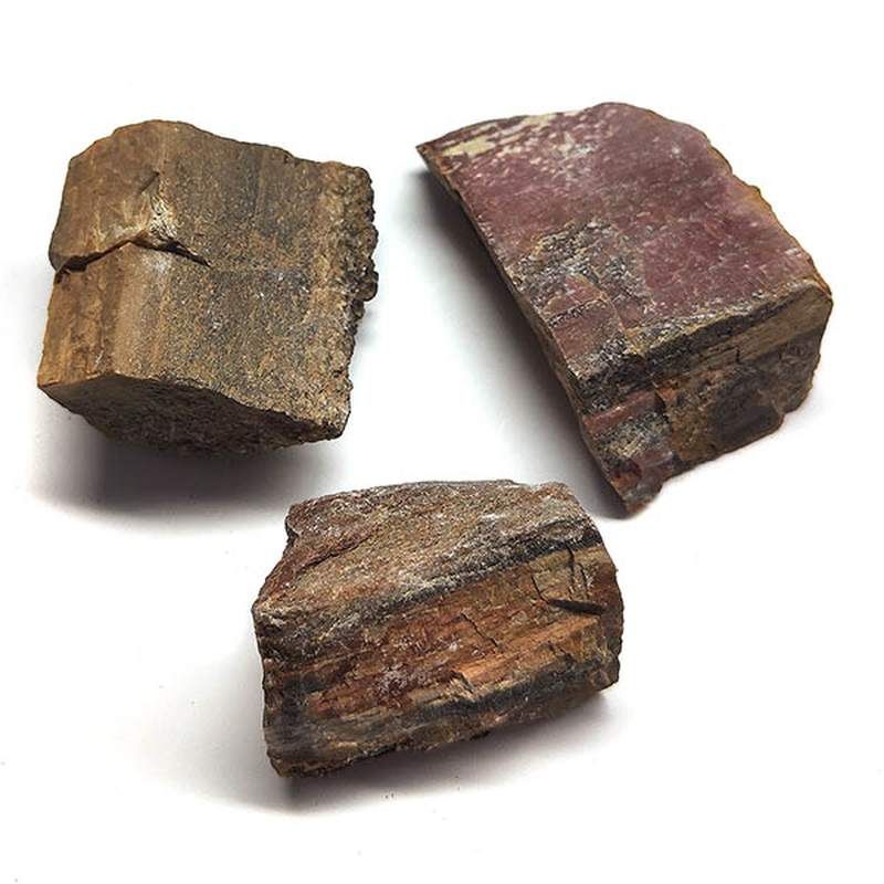 Bois Fossile. Prix par Kg